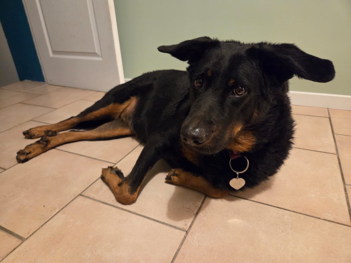 RIO CHERCHE UNE FAMILLE RURALE