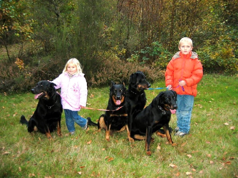 PROMENADES EN FORET